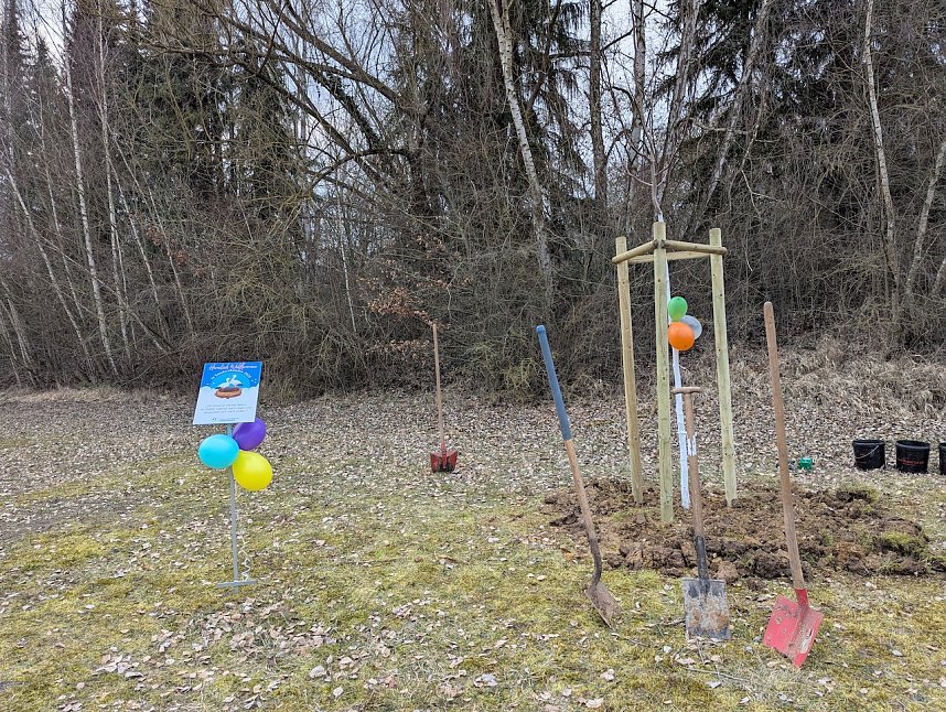 Babybaumaktion in Sondershausen