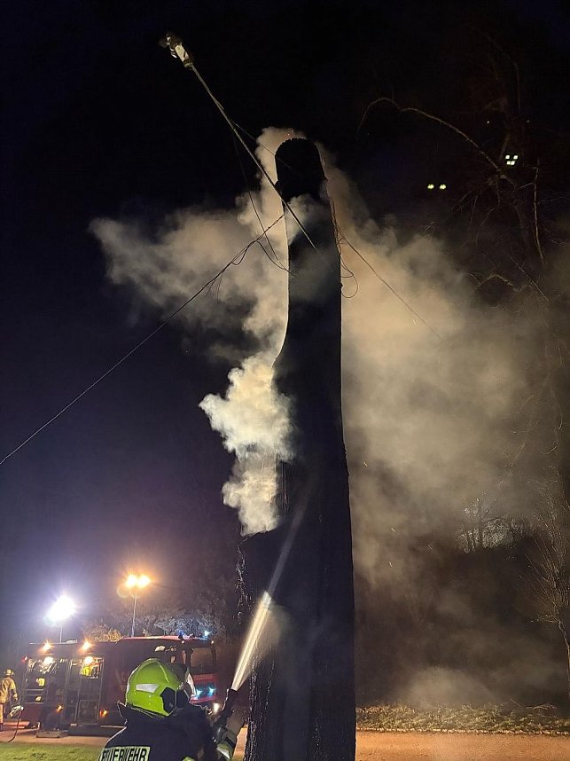 Wieder wurde ein Baum im Sondersh&auml;user Schlosspark angez&uuml;ndet