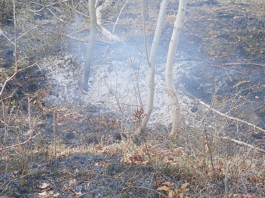 Fl&auml;chenbrand bei Bad Frankenhausen