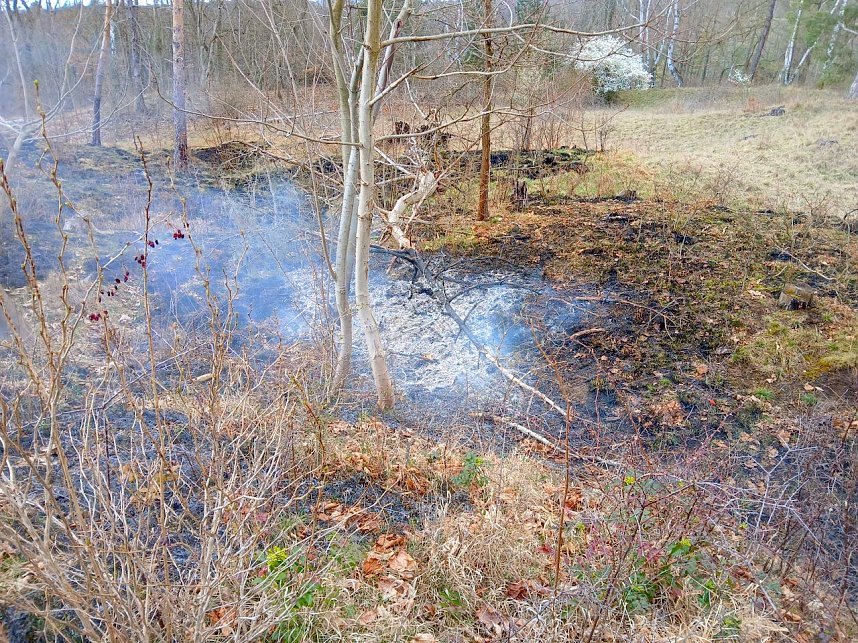 Fl&auml;chenbrand bei Bad Frankenhausen