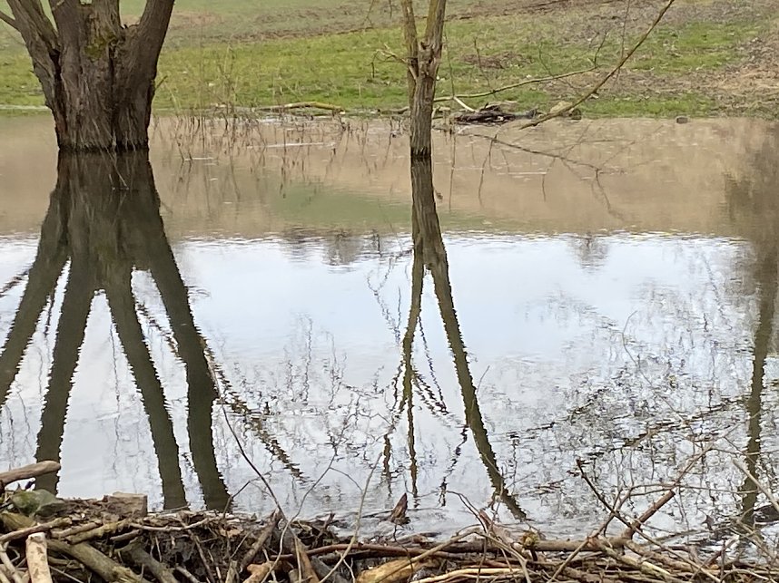 Hainleite Wanderclub: Wanderung M&auml;rz 2025