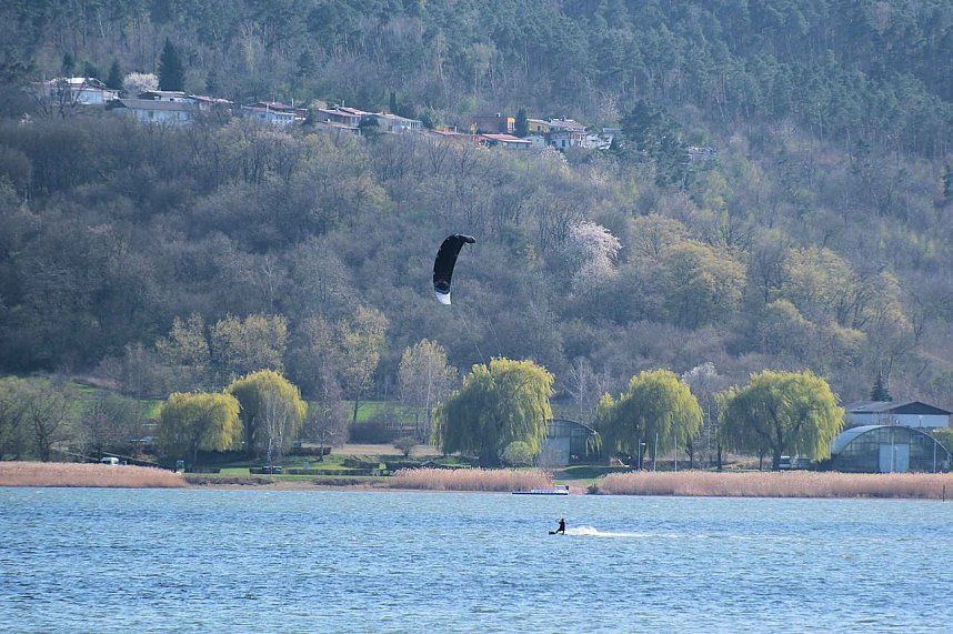 Storch und Co. am Stausee Kelbra