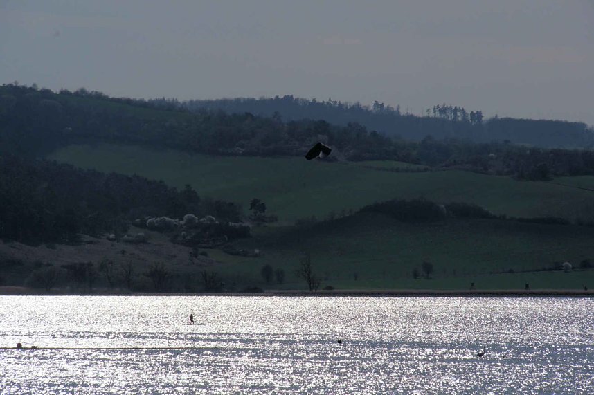 Storch und Co. am Stausee Kelbra