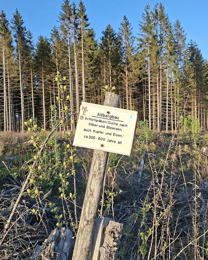 Impressionen von einer doppelten Harzquerung