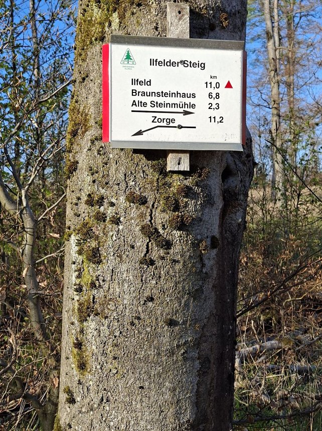 Impressionen von einer doppelten Harzquerung