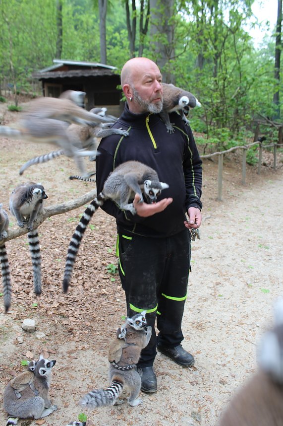 Besuch im Affenpark in Strau&szlig;berg (Th&uuml;ringen)