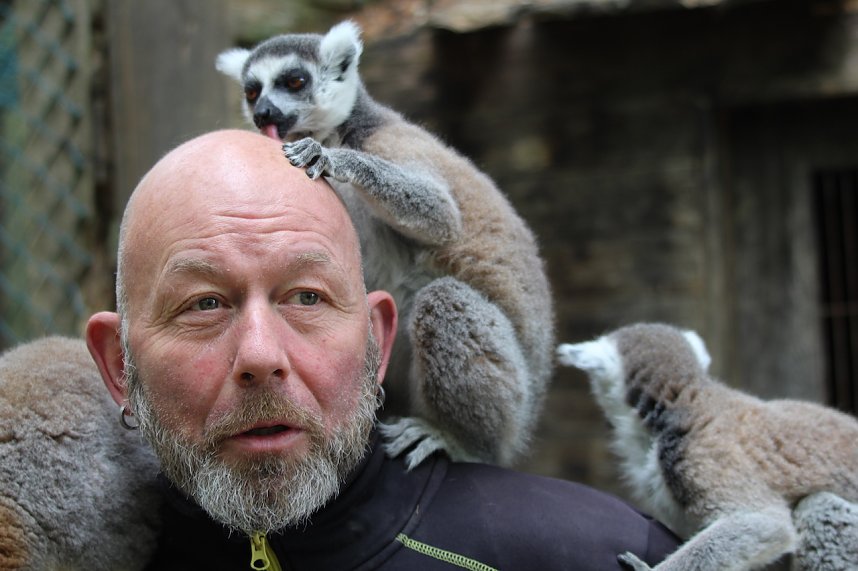 Besuch im Affenpark in Strau&szlig;berg (Th&uuml;ringen)