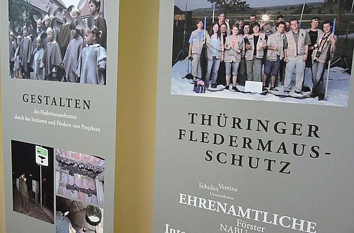 Stiftung Fledermaus
