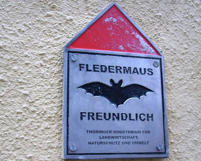 Stiftung Fledermaus