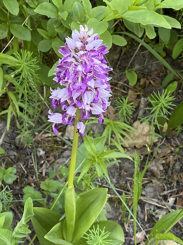 Maiwanderung: Impressionen 