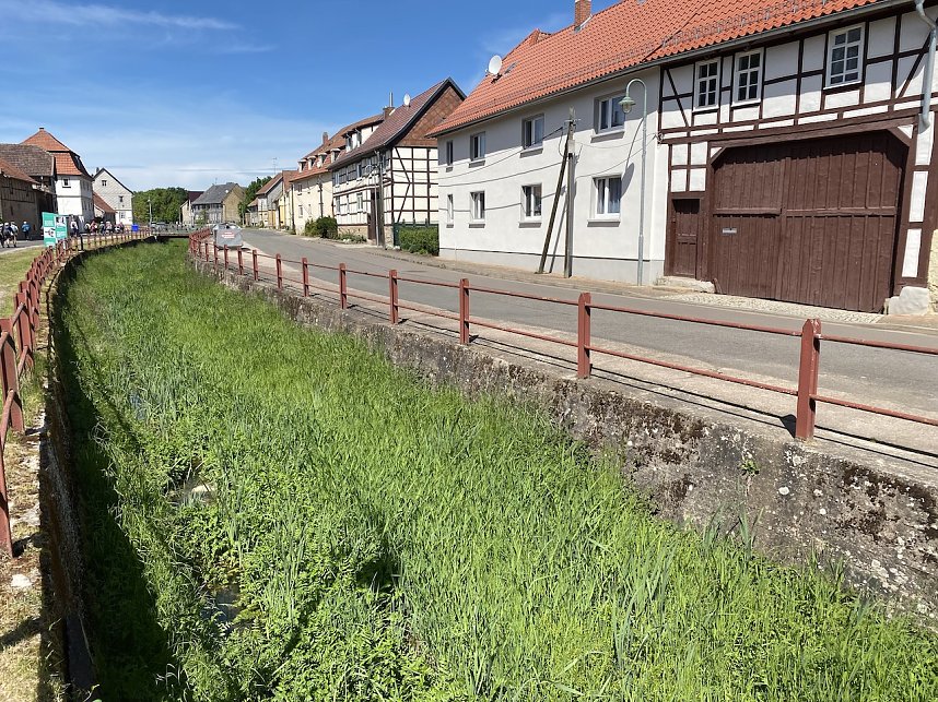 Maiwanderung: Impressionen 