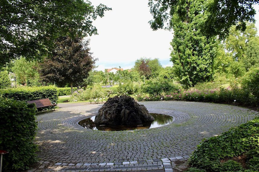 Rosenpracht in Rosengarten in Bad Langensalza