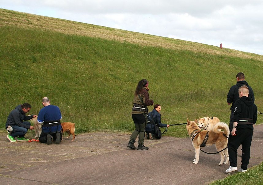 Therapie-Hunde am Stausee Kelbra