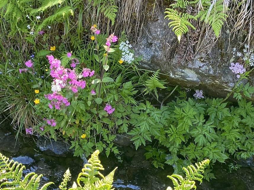 Wandertouren im Juni