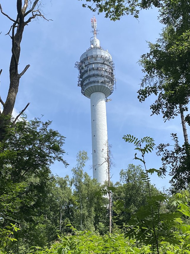Wandertouren im Juni