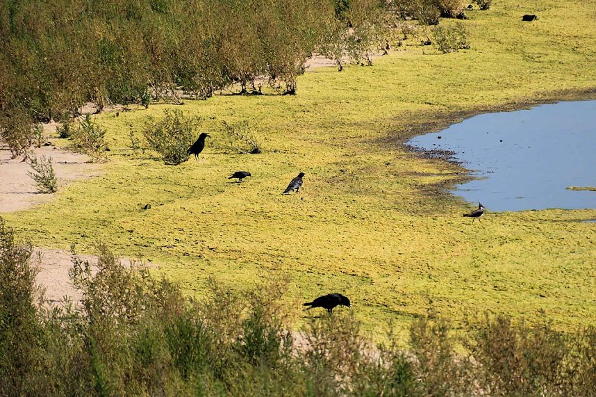 Peter Blei unterwegs am Stausee Kelbra 