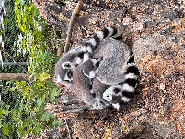 Trainingslager der bleicherer Sch&uuml;tzenjugend