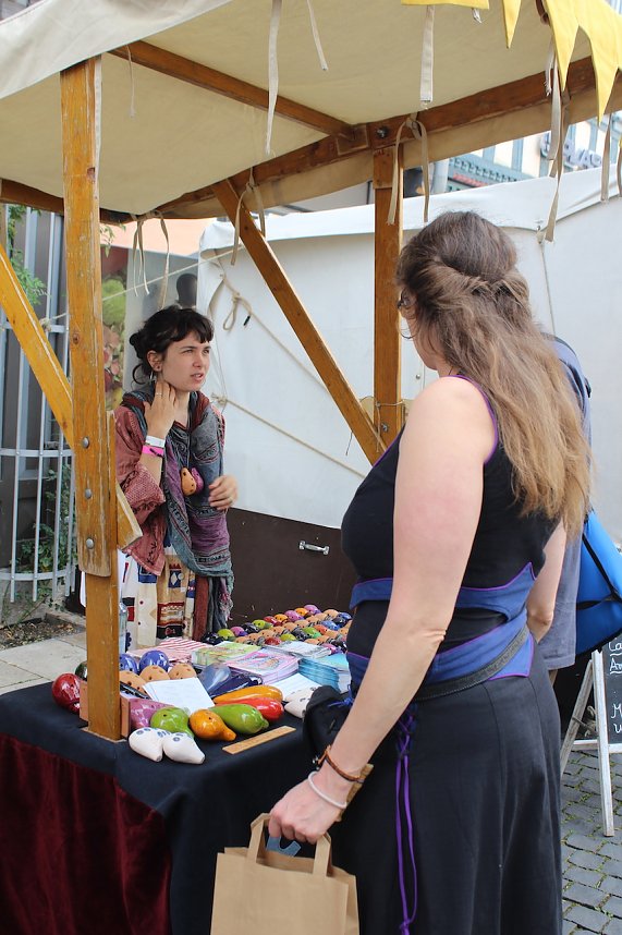 31.Mittelalterstadtfest Bad Langensalza