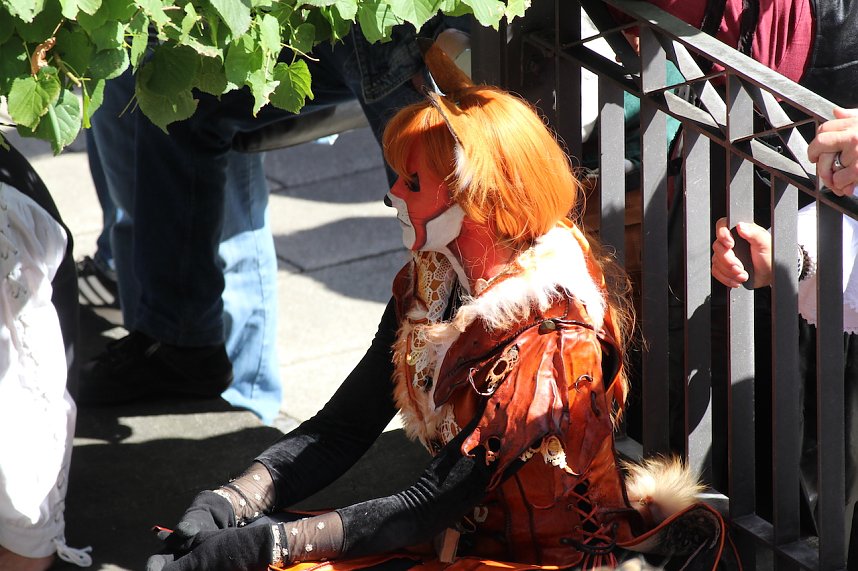 31.Mittelalterstadtfest Bad Langensalza