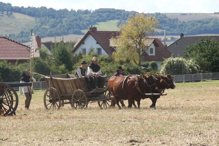 Nachstellung der Bauernschlacht bei Bad Frankenhausen