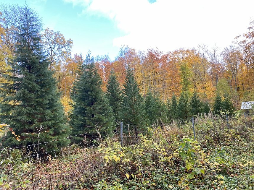 Oktoberwanderung mit Wolfgang Lehmann