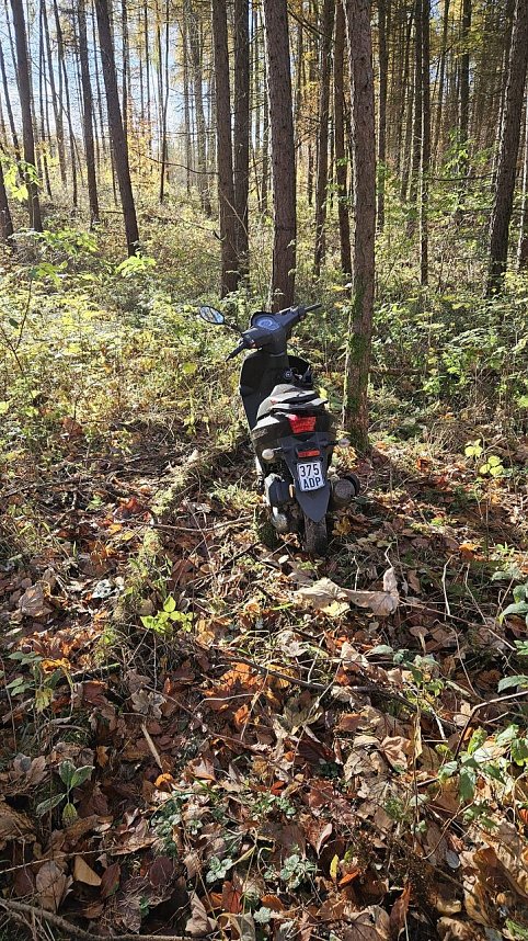 Motorroller im Wald gefunden
