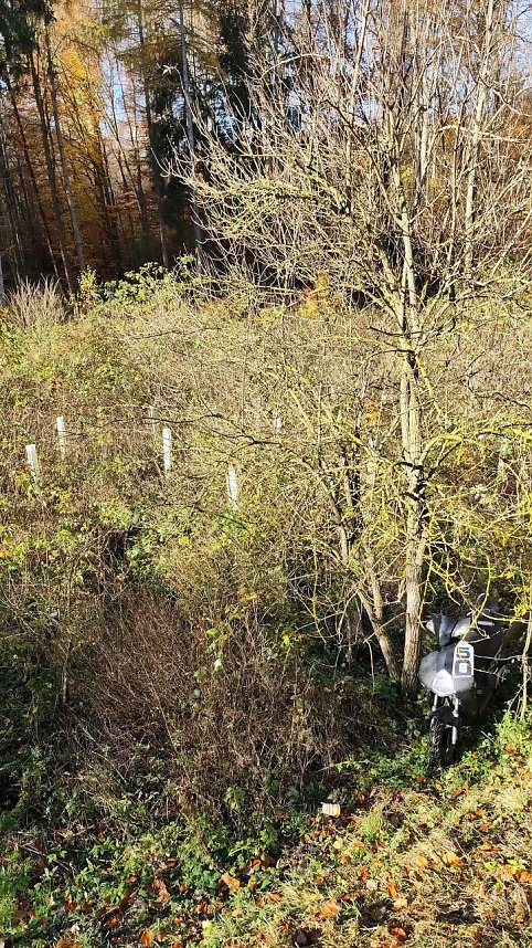 Motorroller im Wald gefunden