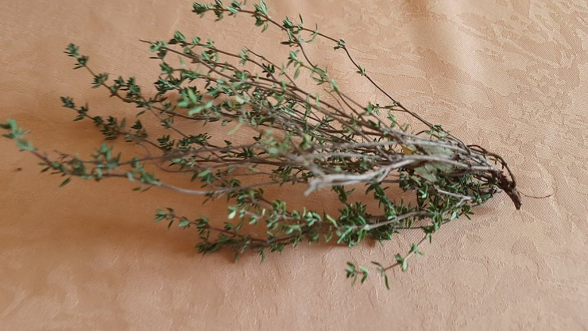 Kr&auml;uterkunde beim Verband er Behinderten