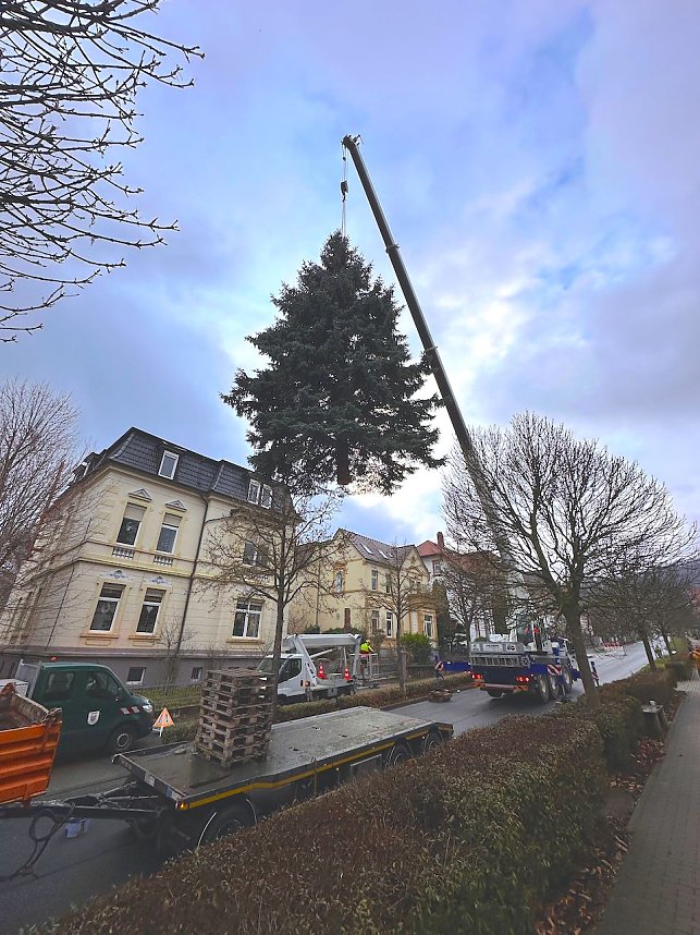 Mit einem Schwerlastkran wurde die blaue Stechfichte am Mittwochmorgen in der Possenallee abgeholt.