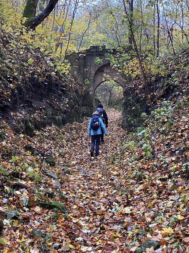 Der Hainleite-Wanderverein unterwegs im November 