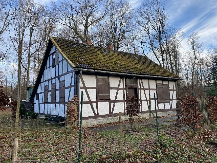 Der Hainleite-Wanderverein unterwegs im November 