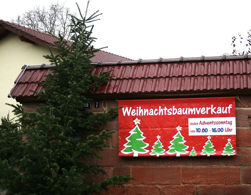 Weihnachtsbaumverkauf in Kelbra