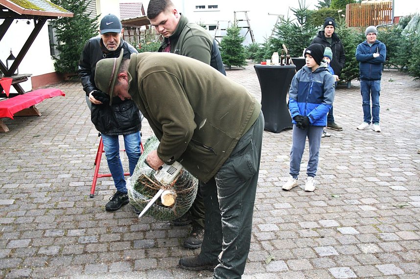Weihnachtsbaumverkauf in Kelbra