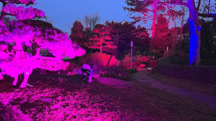 Die Lichterpoesie in Bad Langensalza ist er&ouml;ffnet