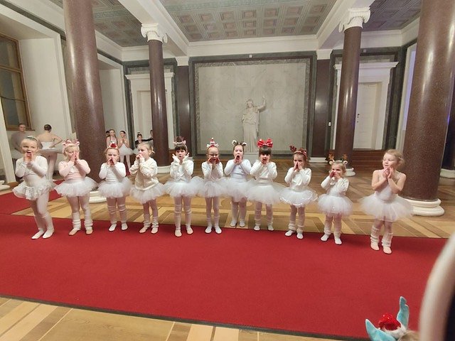 T&auml;nzerinnen und T&auml;nzer des Studios Radeva.