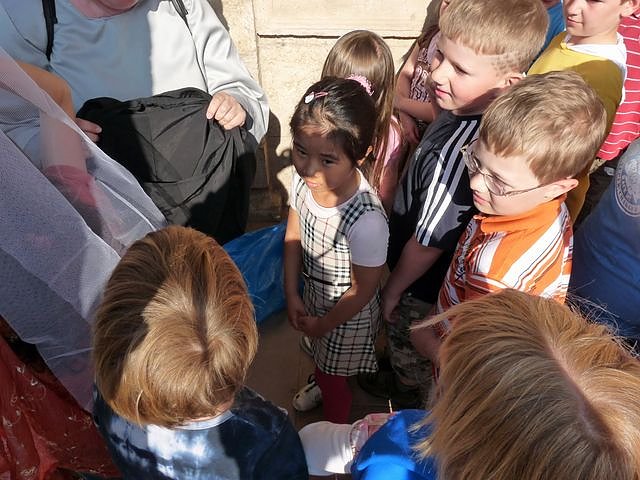 Kindermitteolalterf&uuml;hrung