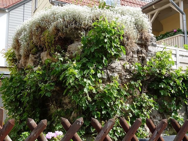 Kindermitteolalterf&uuml;hrung