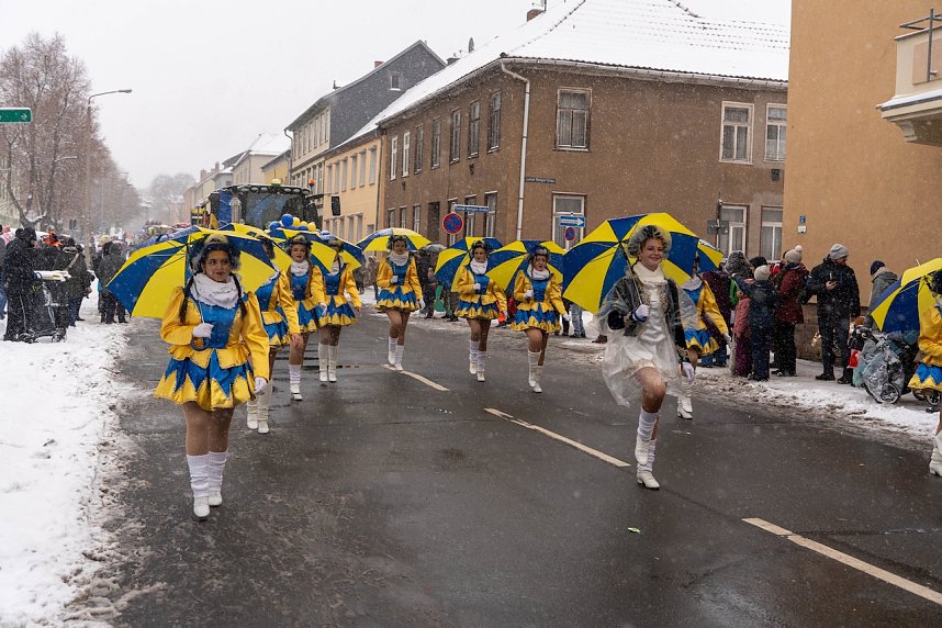 Rosenmontag in Sondershausen