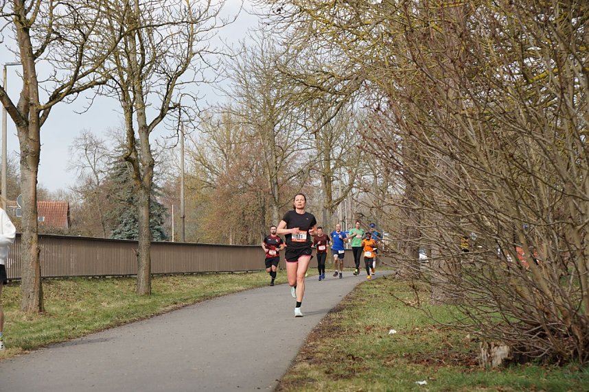 48. Albert-Kuntz-Lauf in Nordhausen