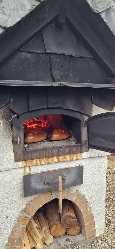 Die M&auml;dchen und Jungen der Kindervilla waren am Wochenende in der Naturparkstation unterwegs..