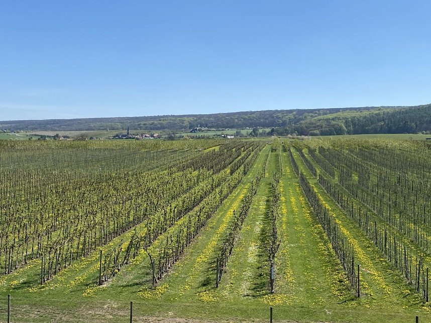 Wanderfreude unterwegs im April