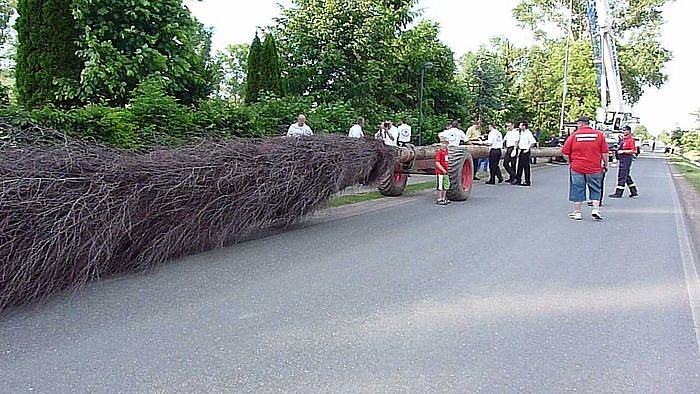 Gr&ouml;&szlig;ter Besen der Welt