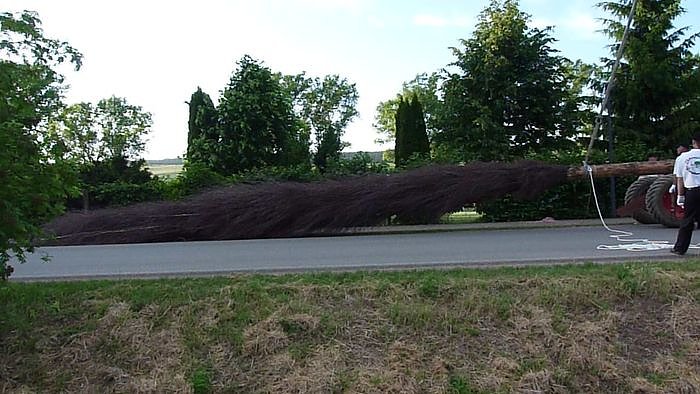 Gr&ouml;&szlig;ter Besen der Welt