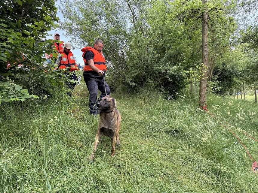 In Sondershausen wird ein Mensch gesucht, der wohlm&ouml;glich in die Wipper gegangen ist.