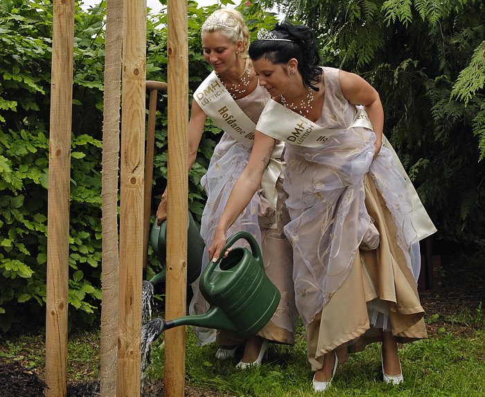 Neuer Laubk&ouml;nig