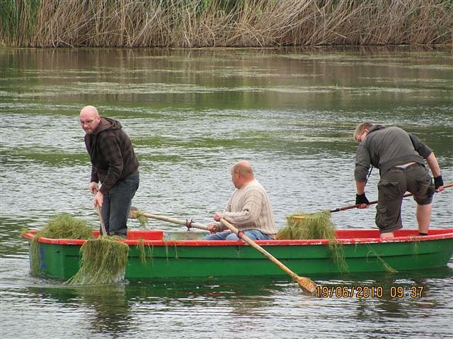 Arbeitseinsatz im Schwimmbad