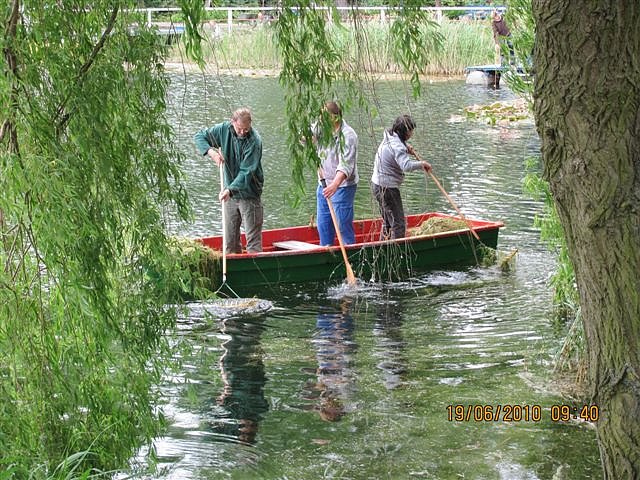 Arbeitseinsatz im Schwimmbad