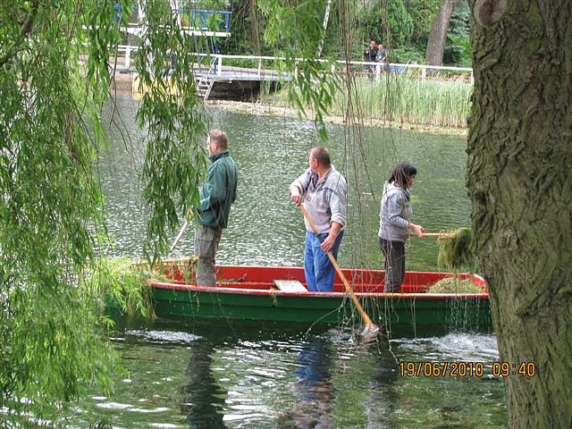 Arbeitseinsatz im Schwimmbad