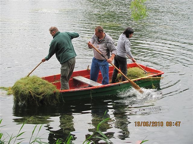 Arbeitseinsatz im Schwimmbad
