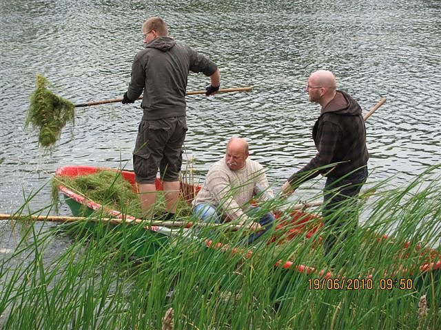 Arbeitseinsatz im Schwimmbad